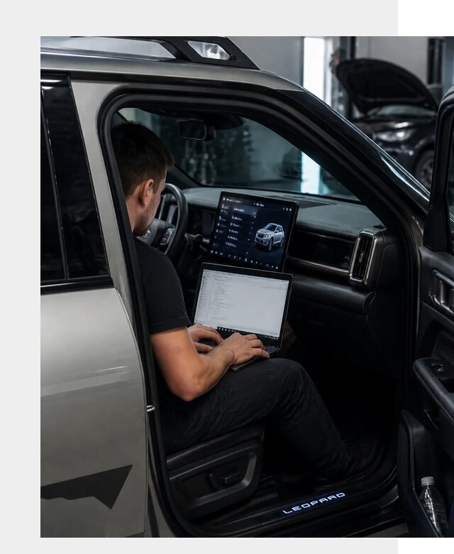 Русификация BYD Leopard 3 в Белогорске по цене от 20302 р. | ФастМобиль-Бгк
